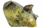 Rutilated Smoky Quartz Crystal - Brazil #172992-3